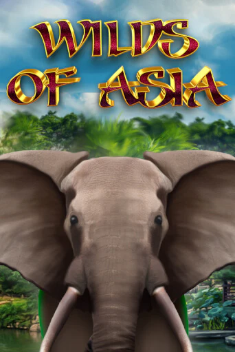 Wilds of Asia играть без денег онлайн | Демо игры Grand Casino Online