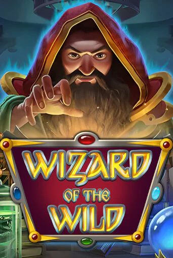 Wizard of the Wild играть без денег онлайн | Демо игры Grand Casino Online